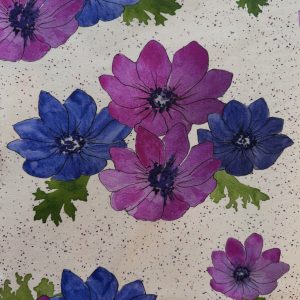 Anemone