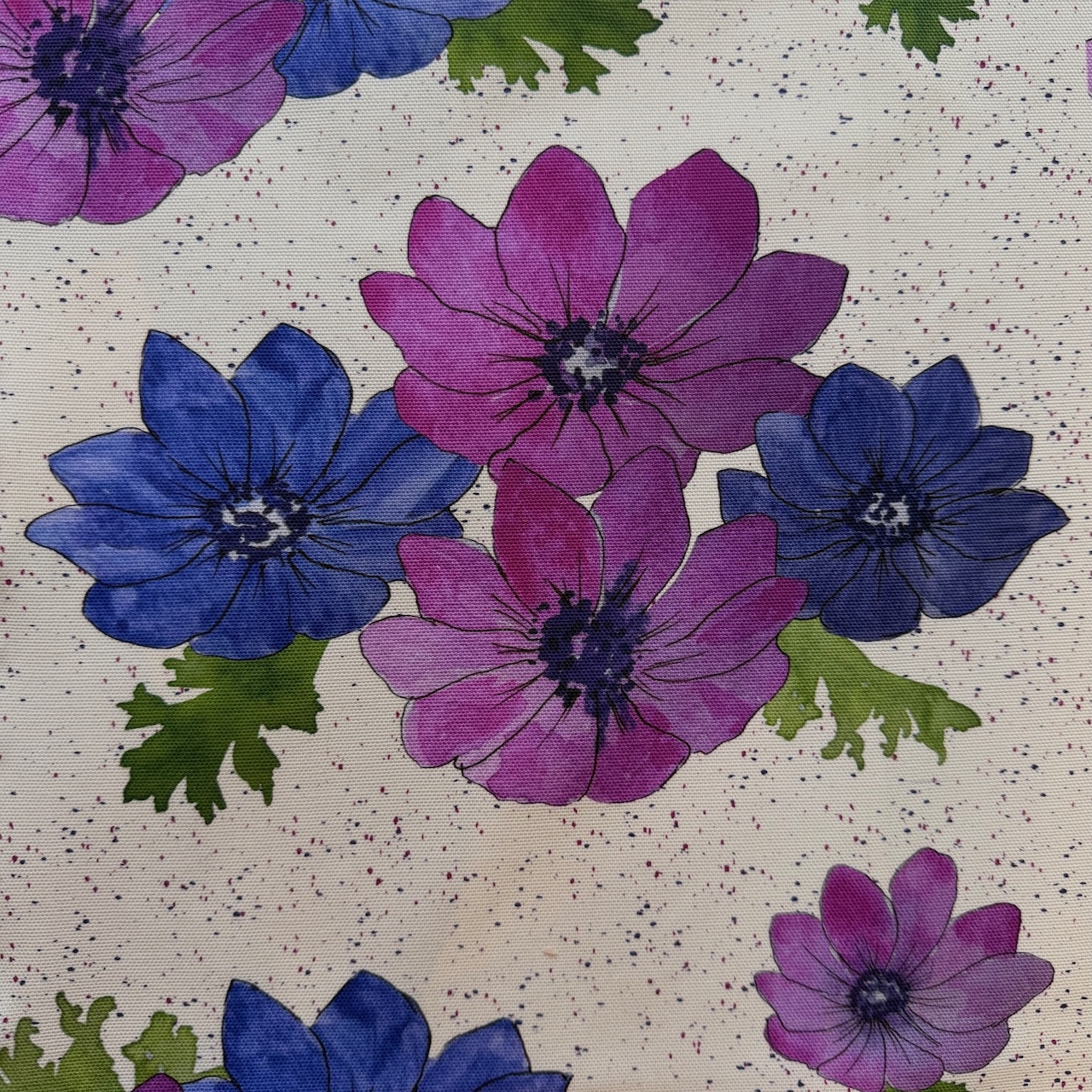 Anemone de Caen