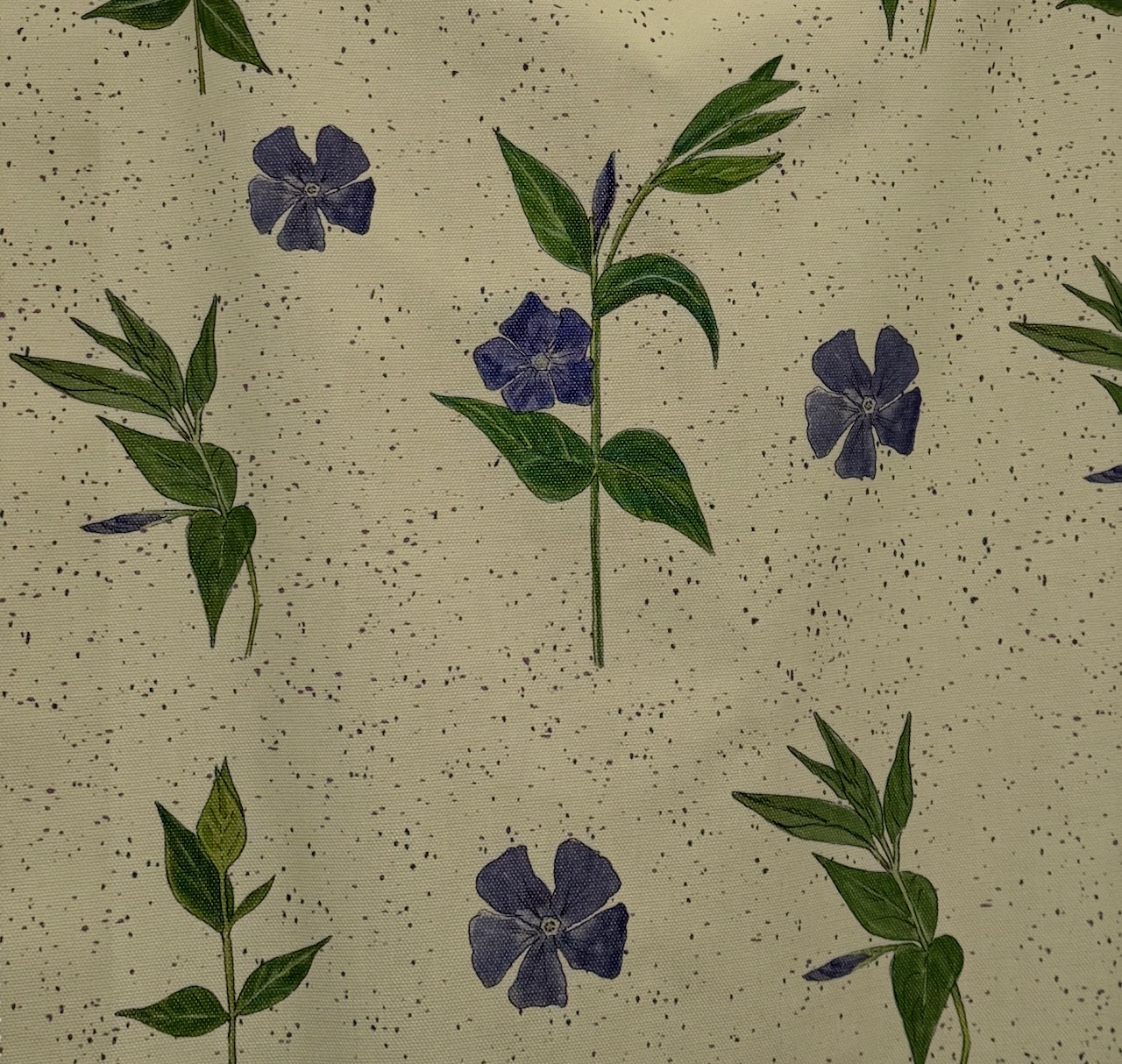 Vinca