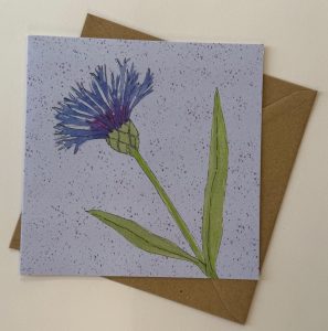 Cornflower Greeting Card