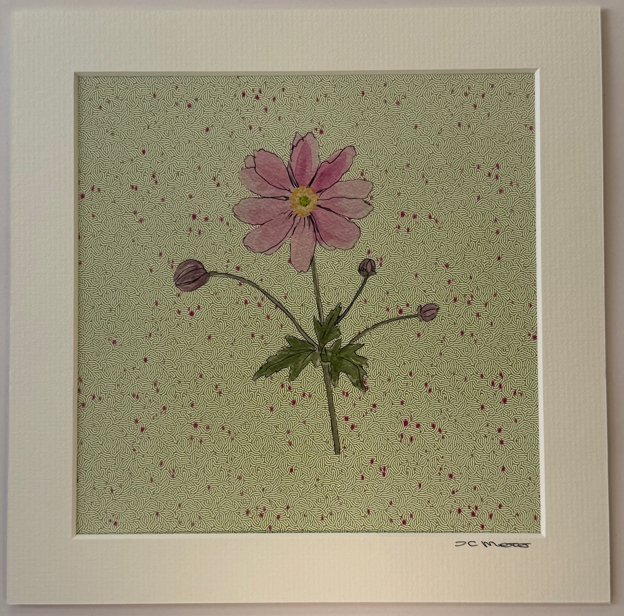 Japanese Anemone Print 1